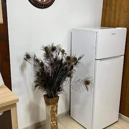 Chata Casa De Lemn