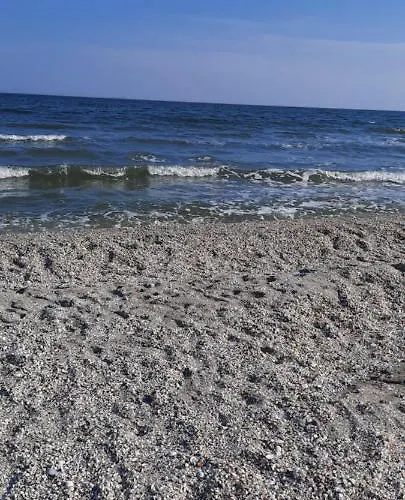 Lodge Casa De Lemn Corbu (Constanta)