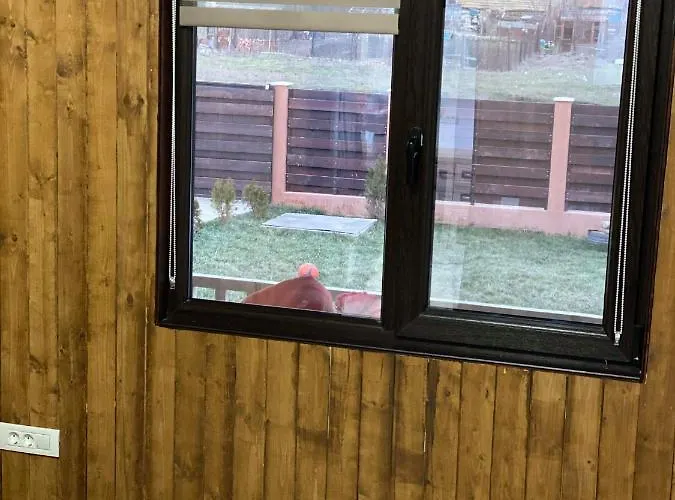 Lodge Casa De Lemn Corbu (Constanta)